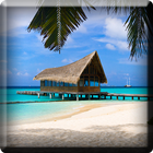 Paradise Island Live Wallpaper icône