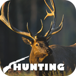 THE HUNTING