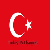 Turkey TV Channels تصوير الشاشة 1
