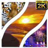배경 화면 QuadHD 2K 아이콘