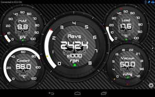 Free Torque Theme SkullZ OBD 2 screenshot 3