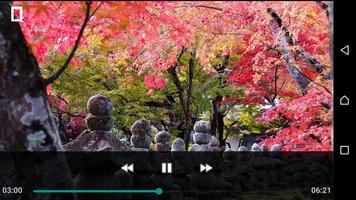 OGG WAV AVI Video Player HD スクリーンショット 2