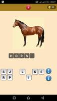 Guess Animals HD 海报