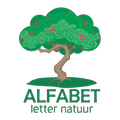 Alfabet Letter Natuur Vlak 1