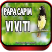 Canto de Papa Capim Viviti