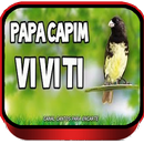 Canto de Papa Capim Viviti APK