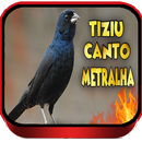 Canto de Tiziu Metralha Popular APK