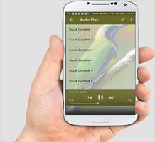 Suara Burung Cucak Cungkok Screenshot 3