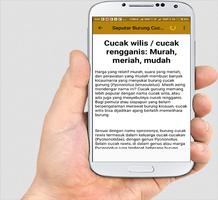 Suara Cucak Wilis Master Gacor bài đăng