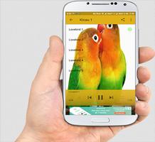 Lovebird Kusumo Gacor ảnh chụp màn hình 3