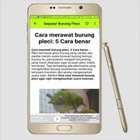 Suara Pleci bài đăng