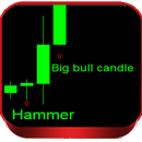 Trik Trading Bitcoin Profit 100% APK