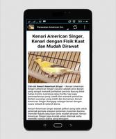 TERAPI KENARI AMERICAN SINGER syot layar 3