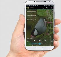 TERAPI GELATIK WINGKO capture d'écran 2