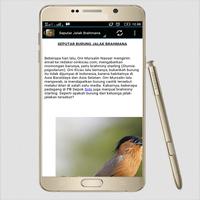 TERAPI JALAK BRAHMANA MASTER syot layar 3