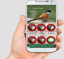TERAPI CENDET MASTER ảnh chụp màn hình 1