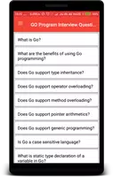 GO Program Interview Questions Plakat