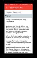 Django Interview Question Ekran Görüntüsü 3