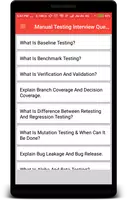 Manual Testing Interview Question Plakat