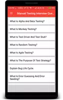 Manual Testing Interview Question Screenshot 1
