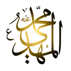 14 Questions on Imam e Zamana أيقونة