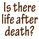 Is there life after death? 圖標