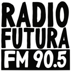 Radio Futura ikon