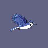 Flap Bird Go icon