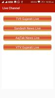 e-GS TV Gujarati Samachar LIVE ảnh chụp màn hình 1