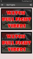 Bull Fights Video-poster