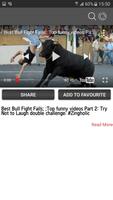 برنامه‌نما Bull Fights Video عکس از صفحه