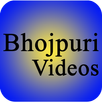 Bhojpuri All New Videos APK