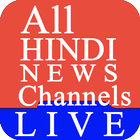 Hindi Live News Channels & Papers icône