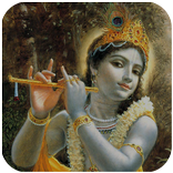 Shree Krishna Videos & Anmol Vachan