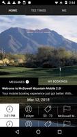 McDowell Mountain Affiche