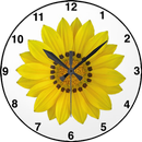 Sunflower Clock Live Wallpaper APK