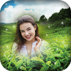 Green Hill Photo Frames 图标