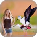 Bird Photo Editor - advanced f-APK