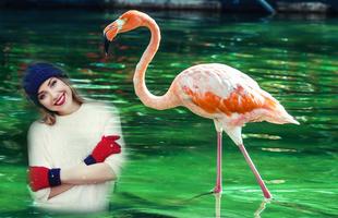 Flamingo Photo Editor ảnh chụp màn hình 2