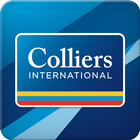 Colliers 2015 AmCon icône