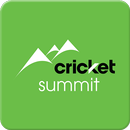 Cricket Summit APK