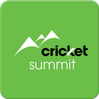Cricket Summit icône