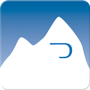 DrivingSales Executive Summit aplikacja