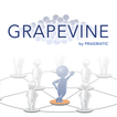 Grapevine by Pragmatic