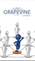 Grapevine by Pragmatic Poster