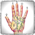 Palmistry palm hand line icon