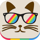 Instavisite - Profil Instagram APK