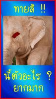 ทายชื่อสัตว์ ปิดตาแล้ว ยากมาก Plakat