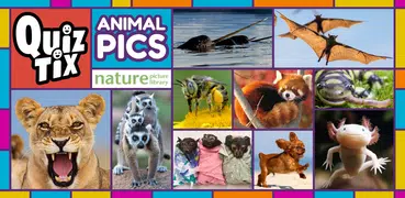 QuizTix: Animal Pics Trivia - Nature Image Library