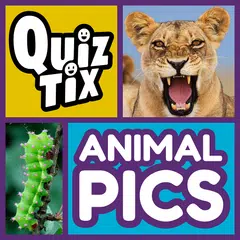 QuizTix: Animal Pics Trivia - Nature Image Library APK 下載